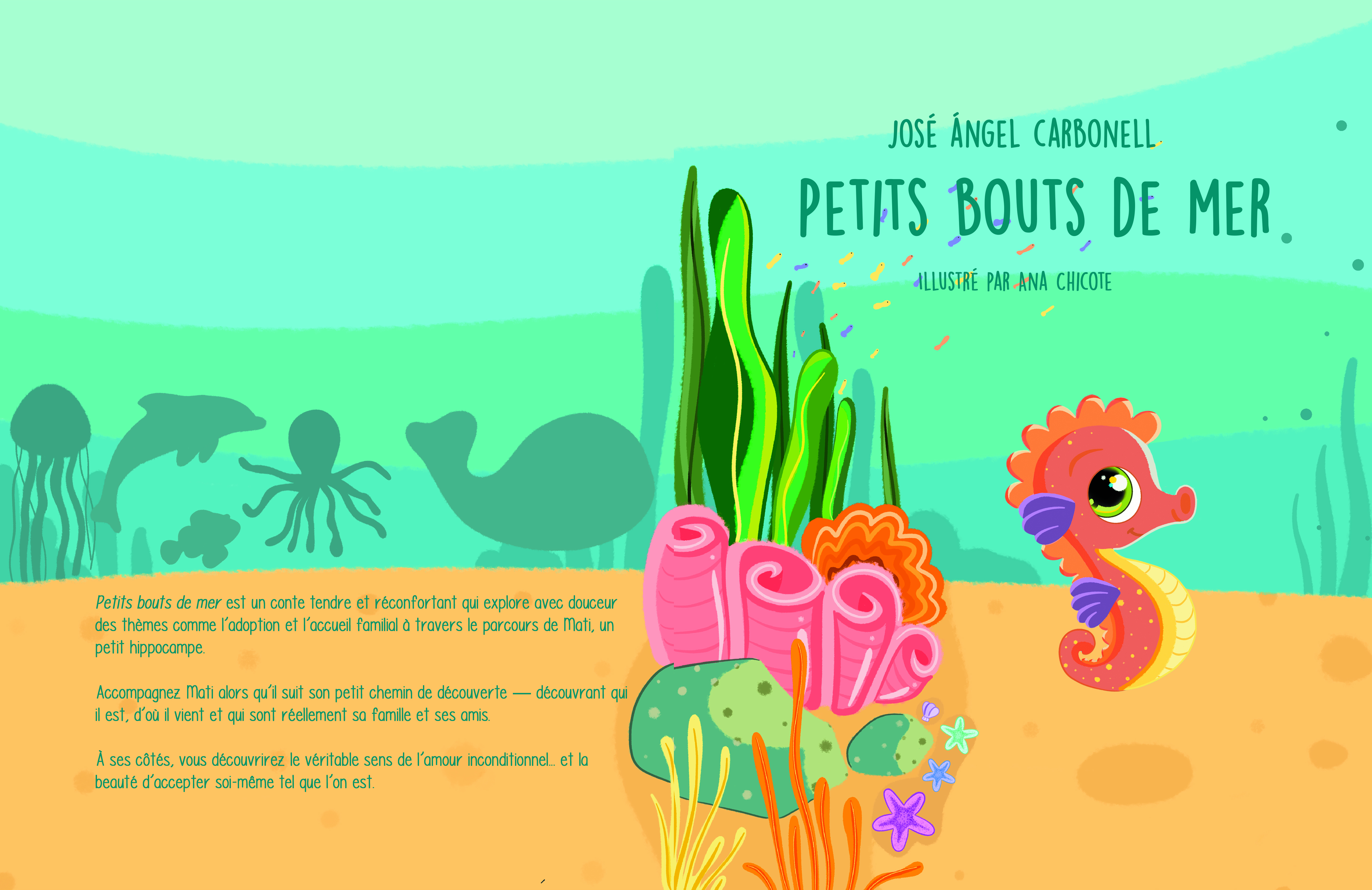 Couverture Petit bout de mer